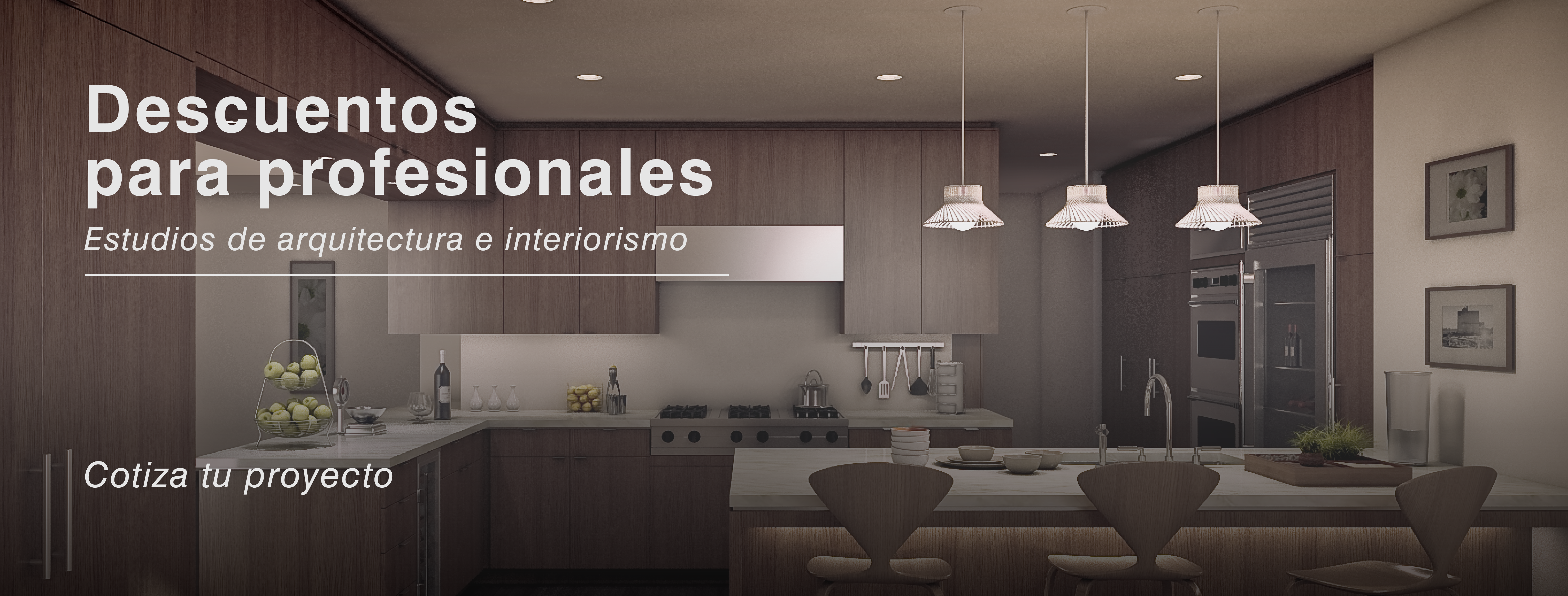 DescuentosProfesionalesBanner